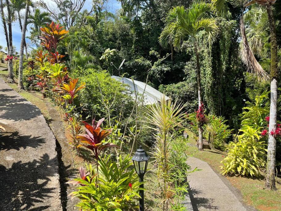 Вилла Jardin Secret Пети-Бур Экстерьер фото